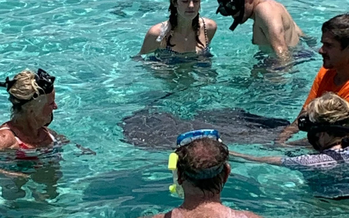 浮潜者站在浅水中围着一只魟鱼